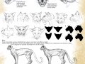javine_reference_sheet_by_blackmystica-d8e95eh.jpg
